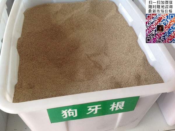 狗牙根草種子 狗牙根草種子