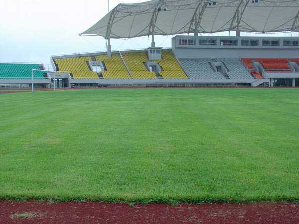 足球場天然草坪 足球場天然草坪