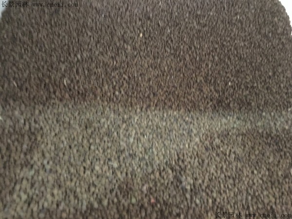 蛇滅門種子圖片