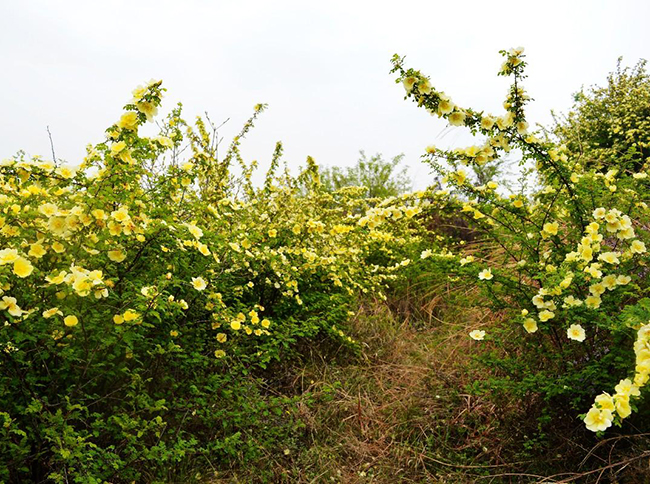 1634713908711149.jpg src=http___img3.myhsw.cn_2019-04-14_fcy8d17e.jpg_239&refer=http___img3.myhsw.jpg